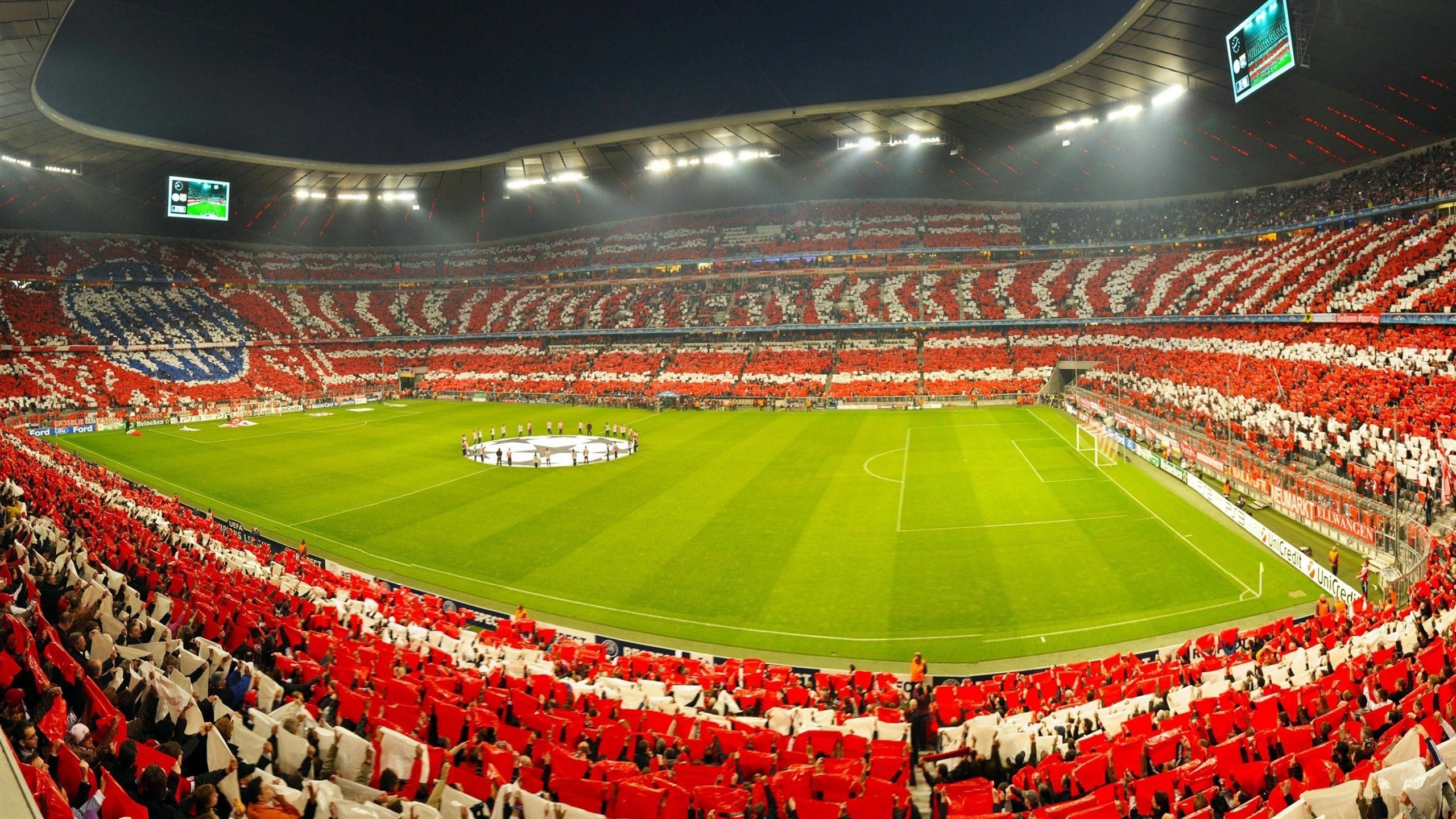 开云·体育全站登录地址-_荒野探秘跑：自然中挑战极限_，荒野探险之旅