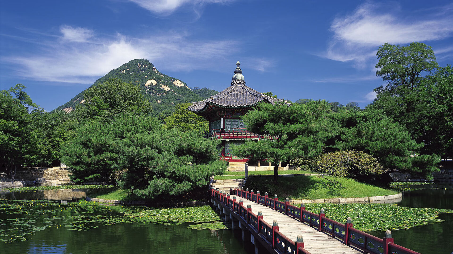 开云棋牌-“危机中的救援：赛场背后的人性光辉”，危机救援终极战