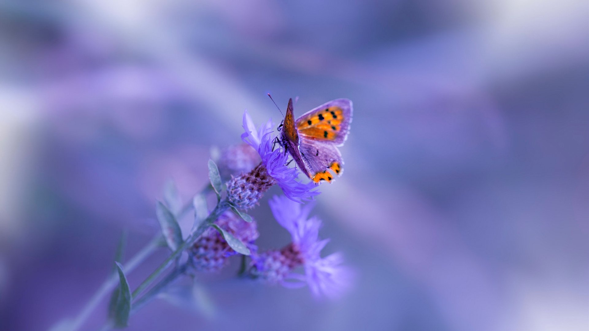 开云官网首页-【运动员心理战】如何在关键局中保持冷静？，运动员如何保持状态